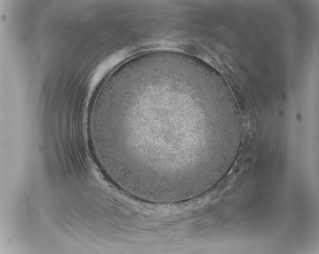 X0000059090006200510172106