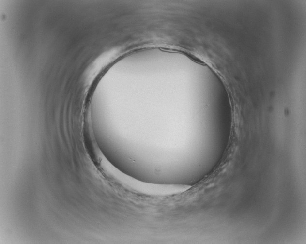 X0000059090007200510172106