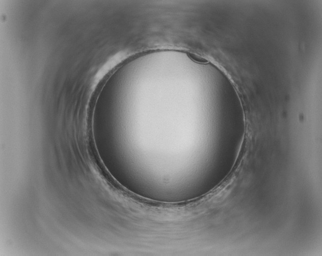 X0000059090008200510172106