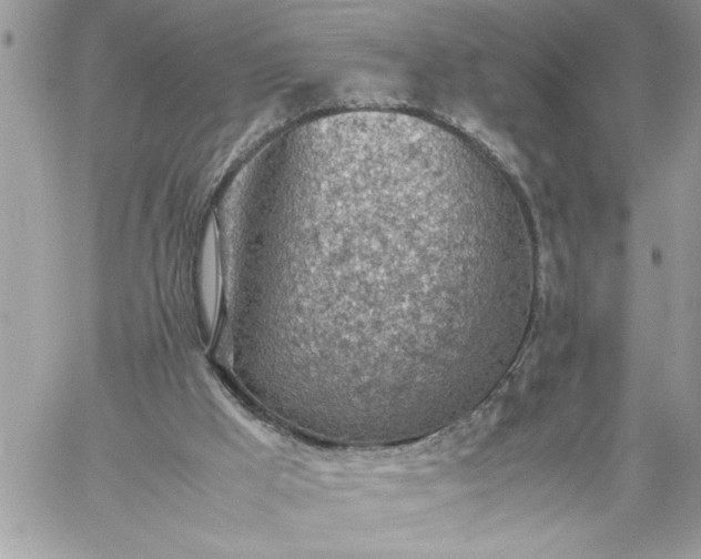 X0000059090009200510172106