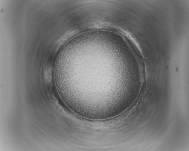 X0000059090010200510172106