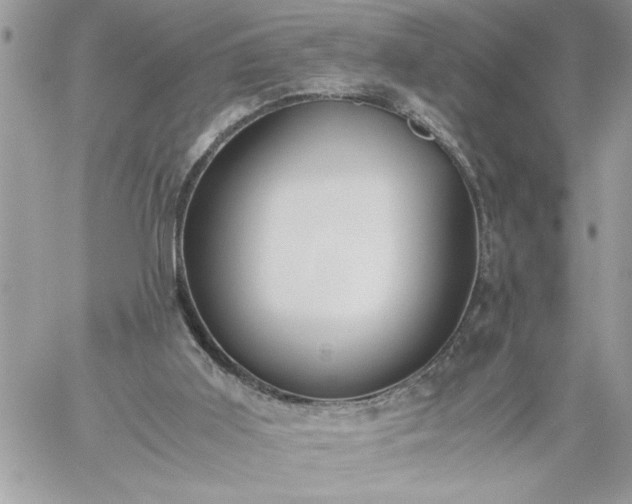 X0000059090011200510172106