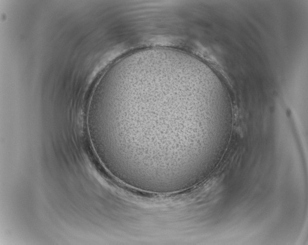 X0000059090012200510172106