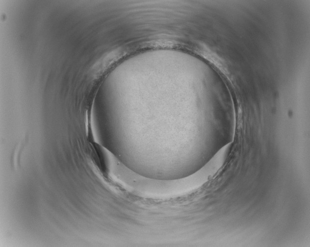 X0000059090013200510172106