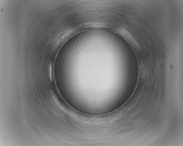 X0000059090014200510172106