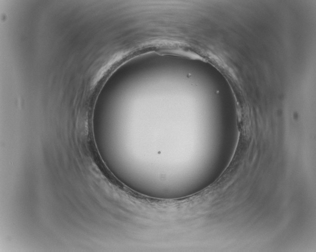 X0000059090015200510172106