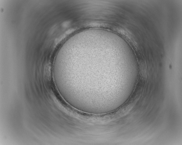 X0000059090016200510172106