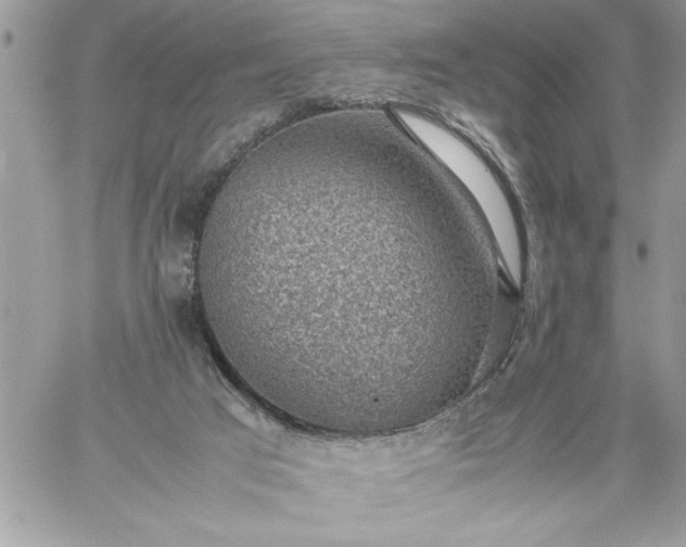 X0000059090017200510172106