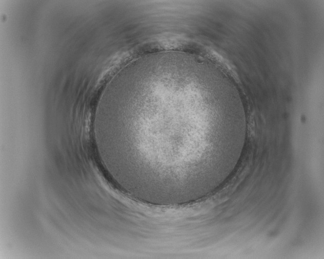 X0000059090018200510172106