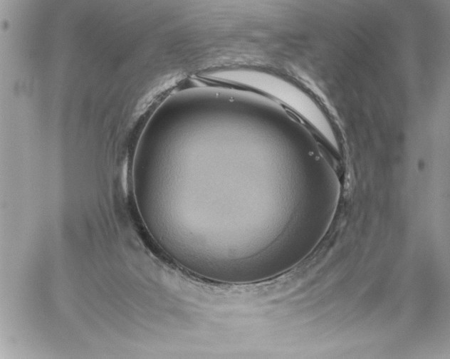 X0000059090019200510172106