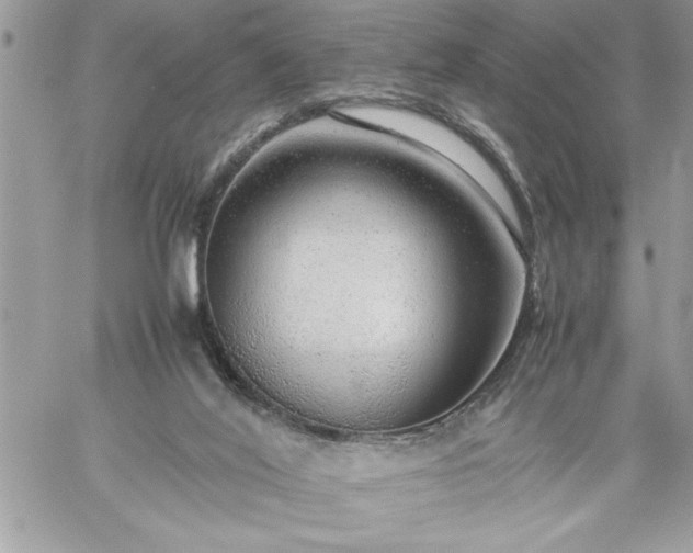 X0000059090020200510172106