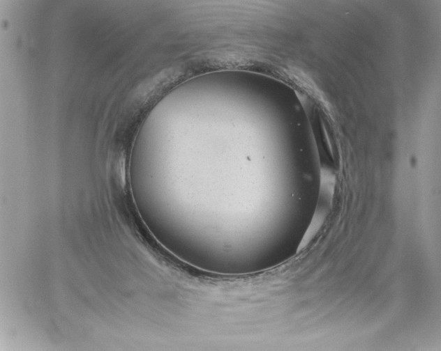 X0000059090021200510172106