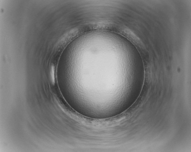 X0000059090022200510172106