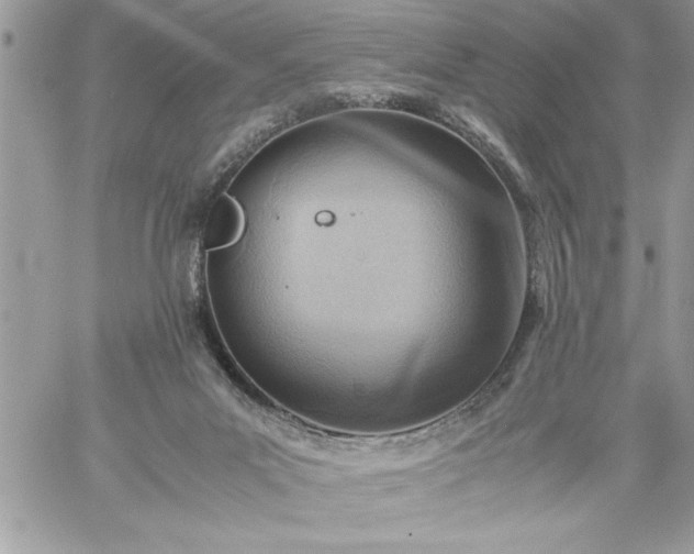 X0000059090023200510172106