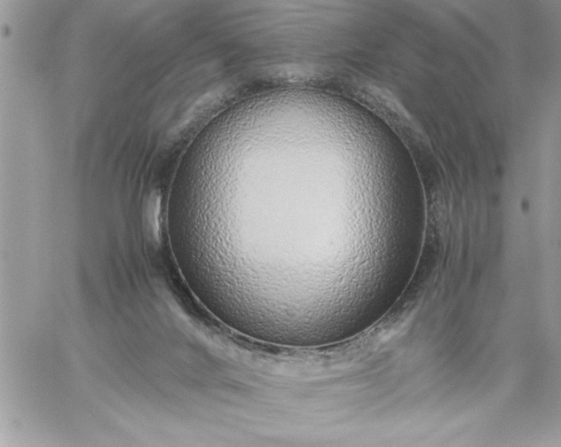 X0000059090024200510172106