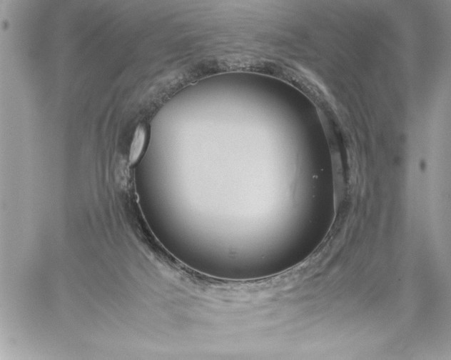 X0000059090025200510172106