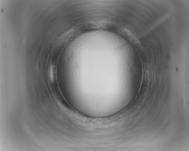 X0000059090026200510172106