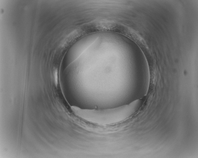 X0000059090027200510172106