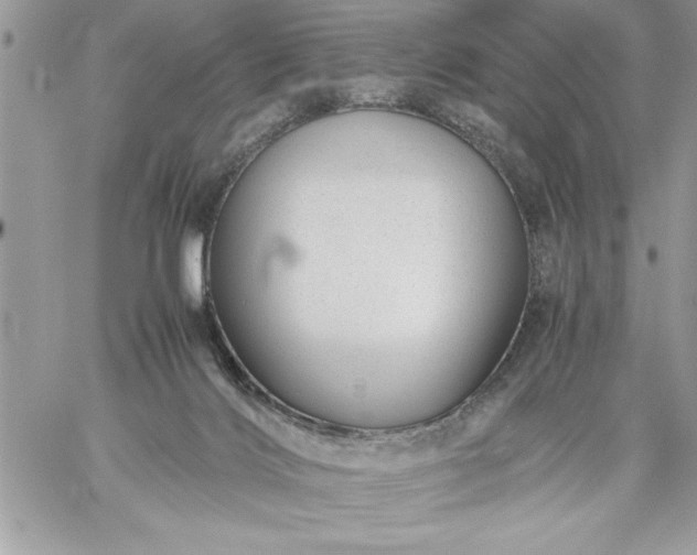 X0000059090028200510172106