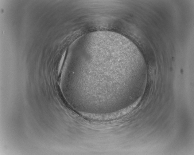 X0000059090029200510172106