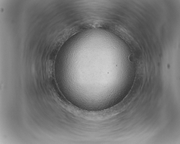 X0000059090030200510172106