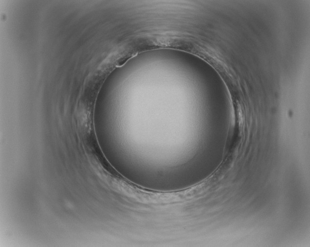 X0000059090031200510172106