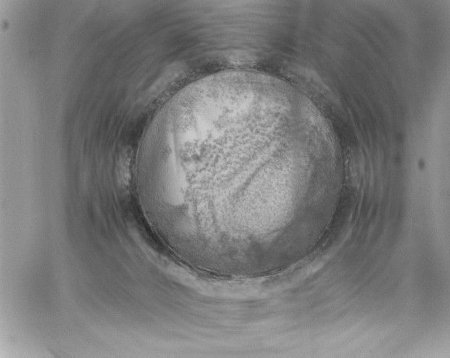 X0000059090032200510172106