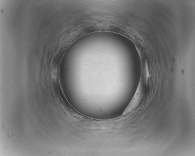 X0000059090033200510172106