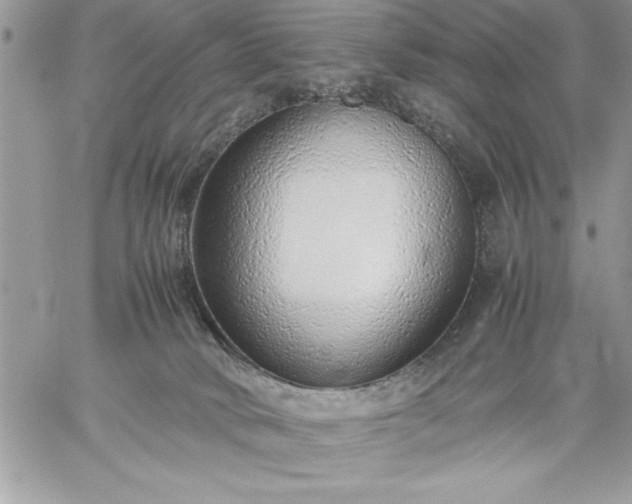 X0000059090034200510172106