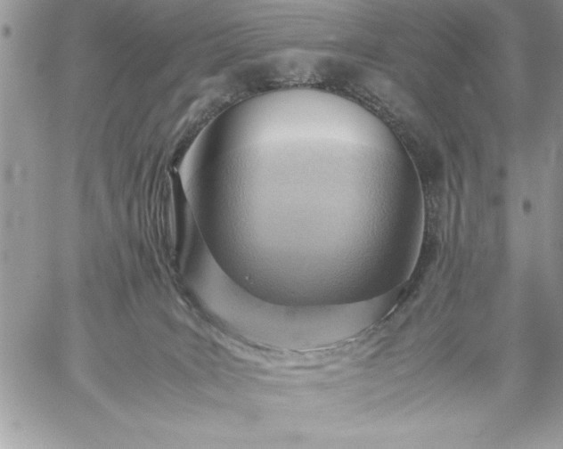 X0000059090035200510172106