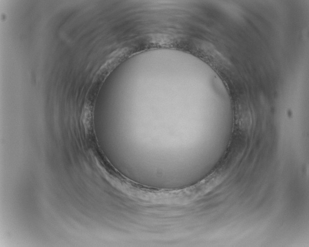 X0000059090036200510172106