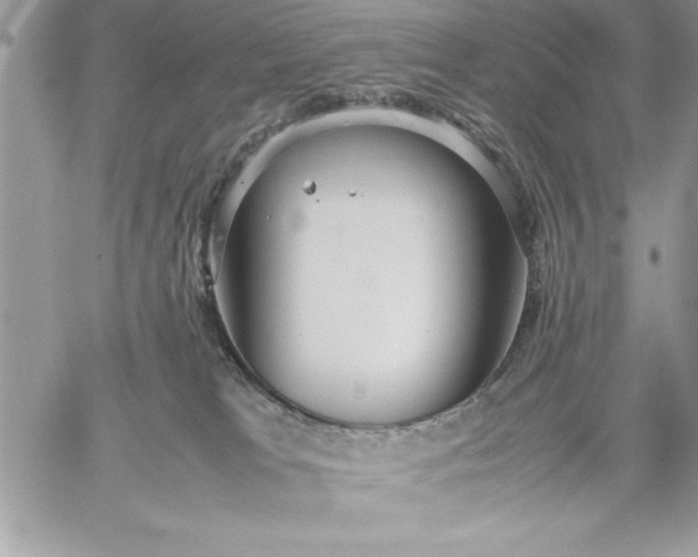 X0000059090037200510172106