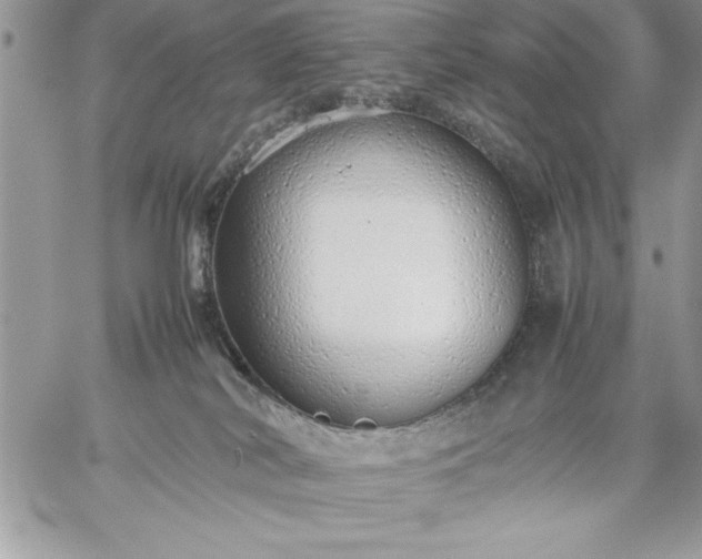 X0000059090038200510172106