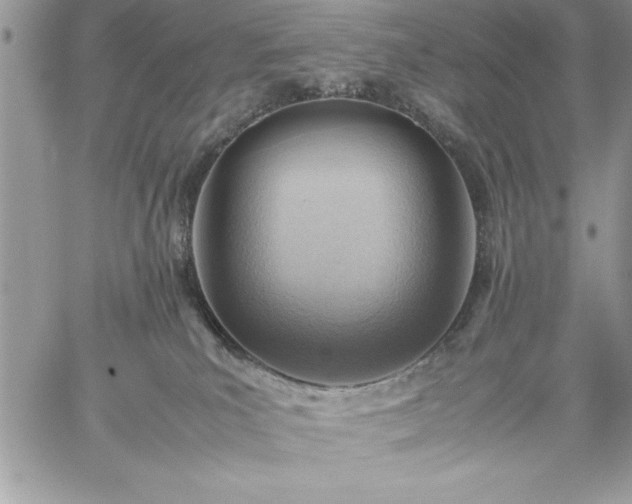 X0000059090039200510172106