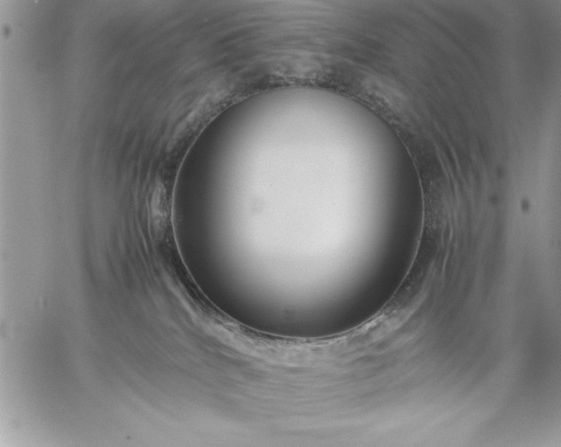 X0000059090040200510172106