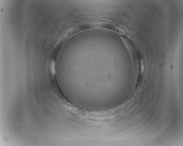 X0000059090041200510172106