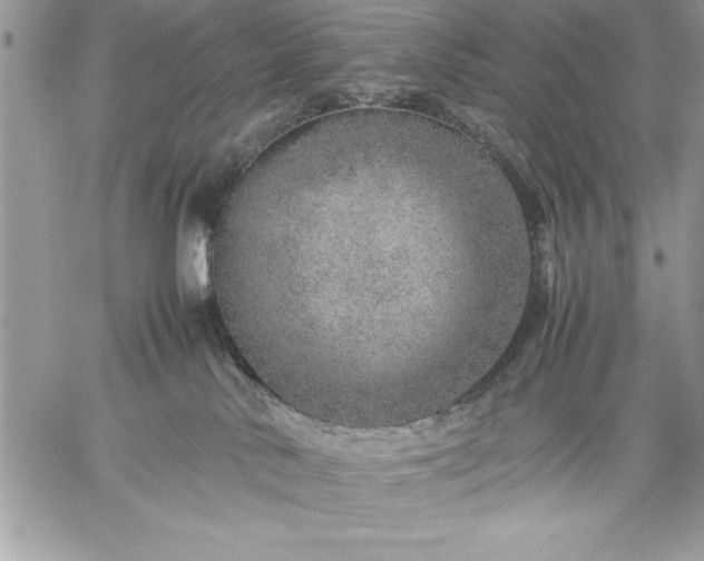 X0000059090042200510172106