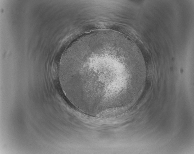 X0000059090043200510172106