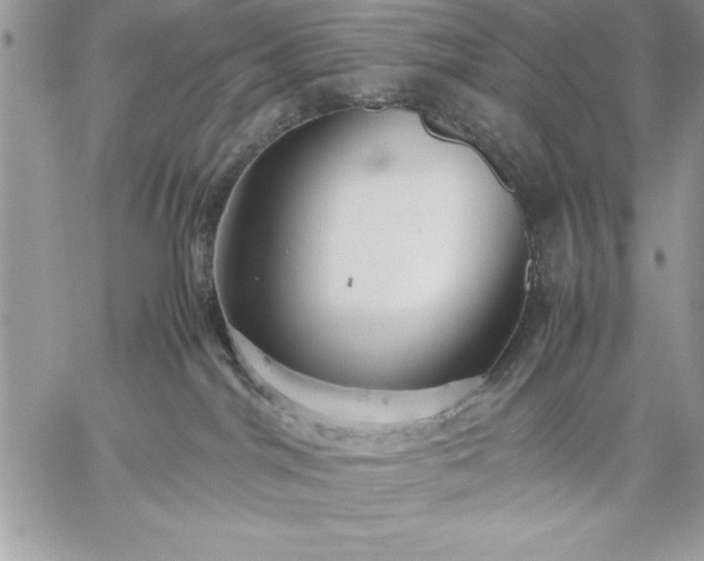 X0000059090044200510172106