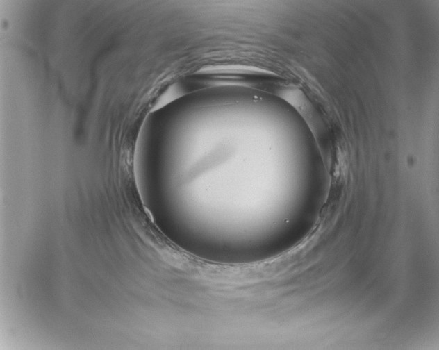 X0000059090045200510172106