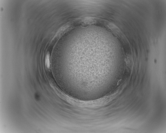 X0000059090046200510172106