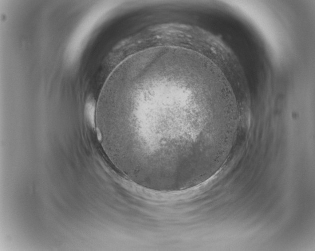 X0000059090047200510172106