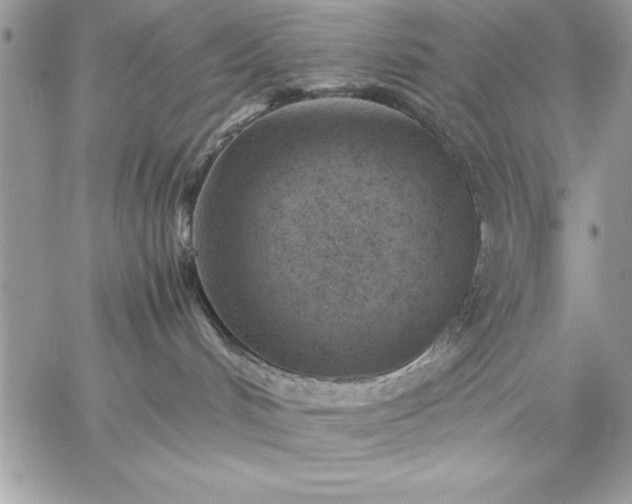 X0000059090048200510172106