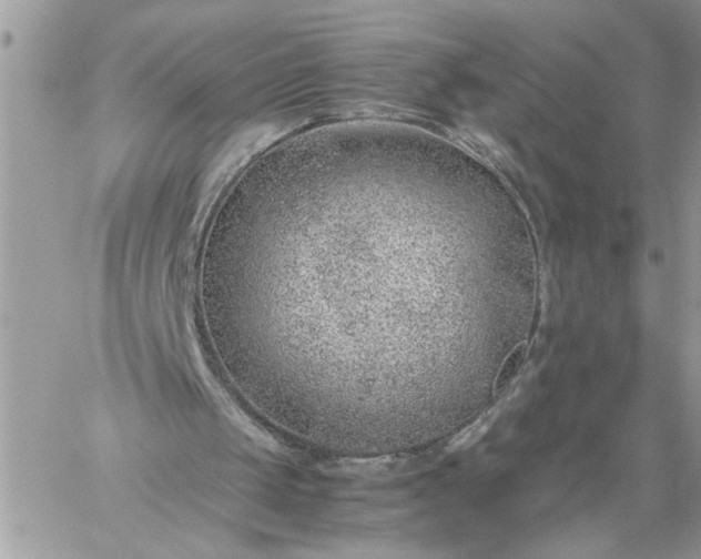 X0000059090049200510172105