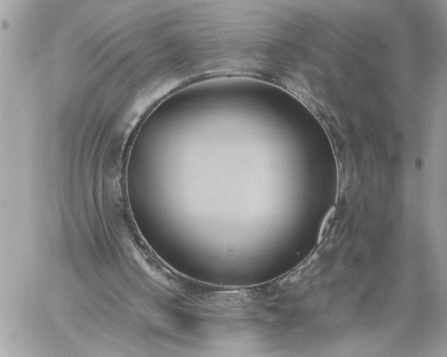 X0000059090050200510172105