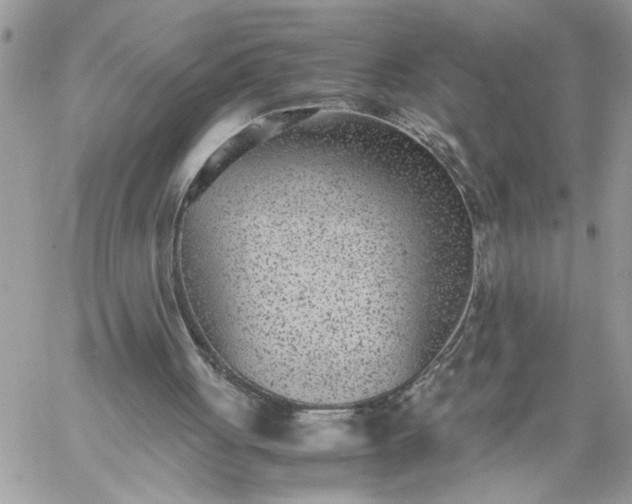 X0000059090051200510172105