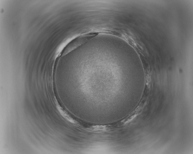 X0000059090052200510172105