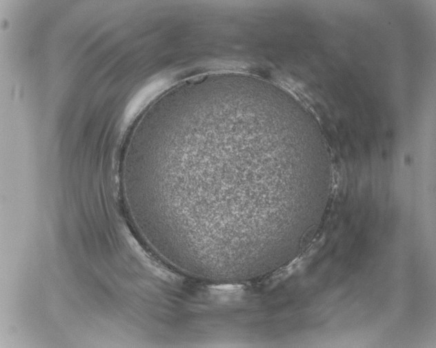 X0000059090053200510172105