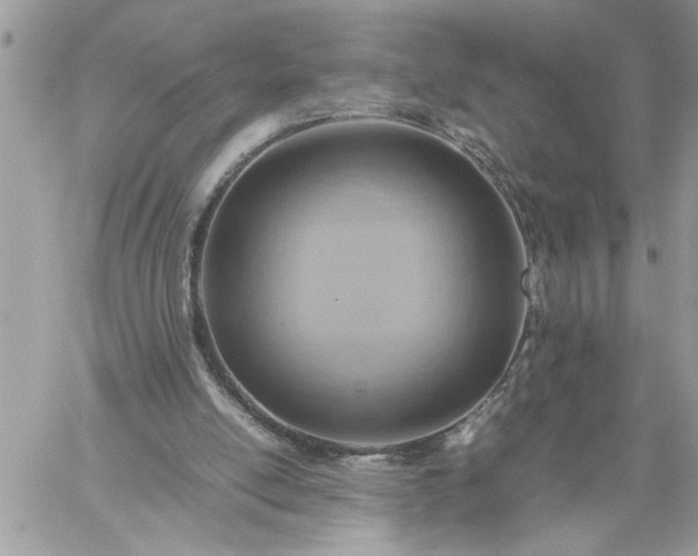 X0000059090054200510172105