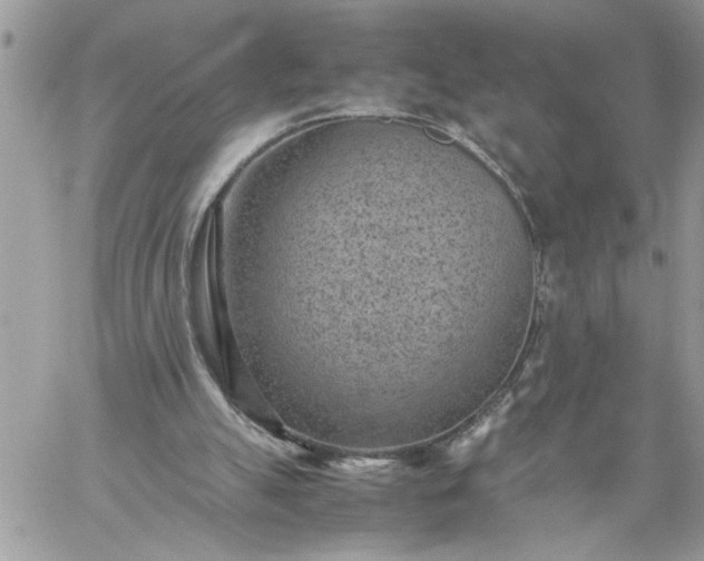 X0000059090055200510172105